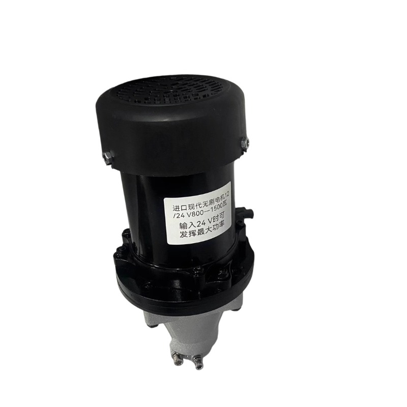 12V-60V 500W-1500W Fırçasız Dı - Fishing Boat Outboard Motor incelemesi ve fiyatı